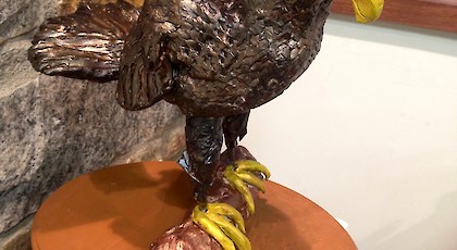 Bald Eagle - Jacob Piazza (mixed medium)